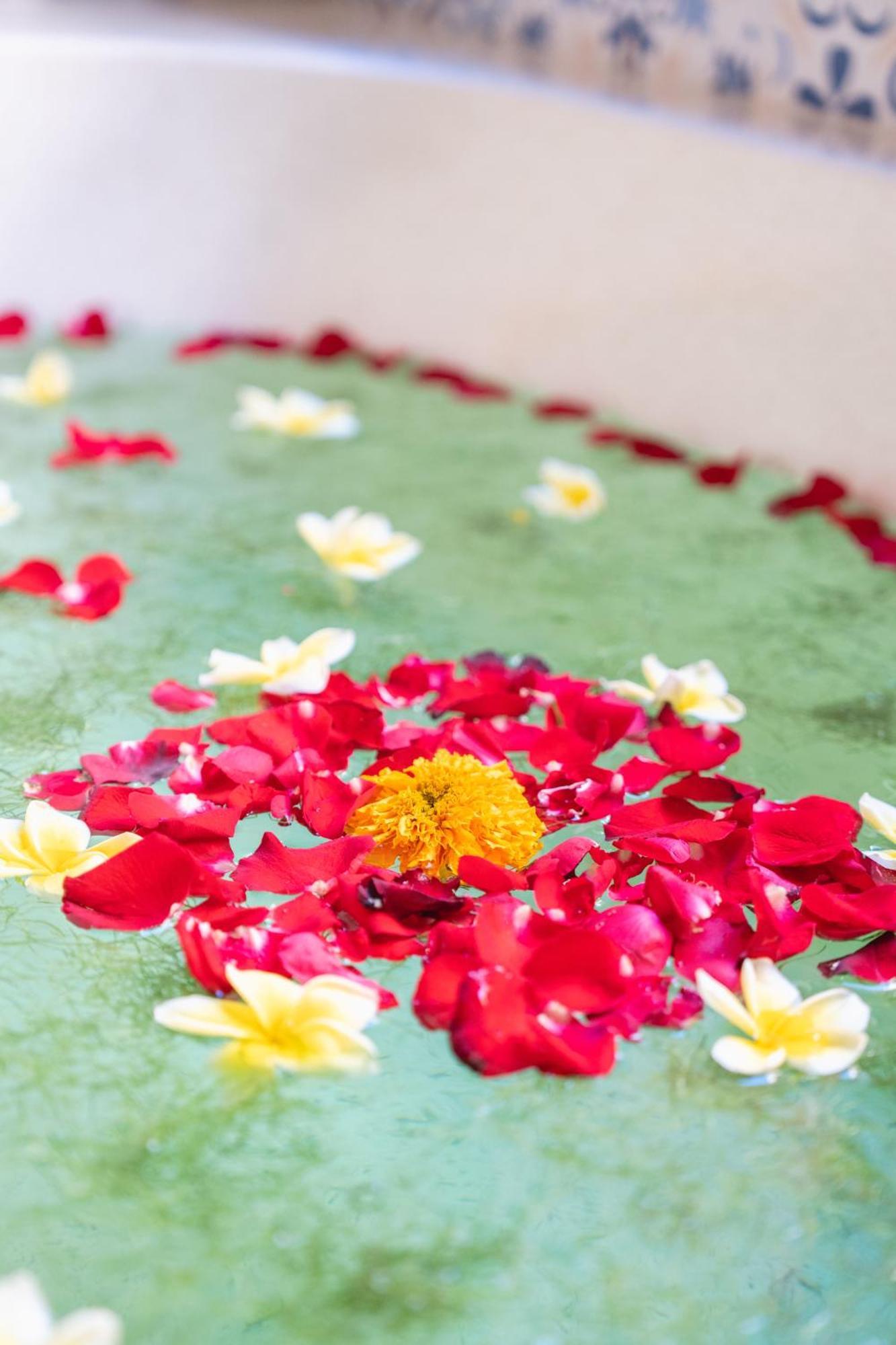 The Compass Rose Ubud Extérieur photo